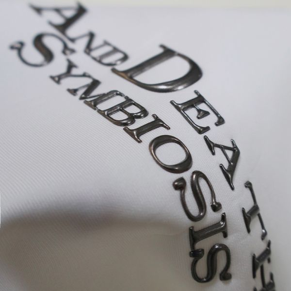 Metallic Finish TPU Heat Transfer Label - Custom Letter Logo Emblem for Apparel & Brand Merchandise