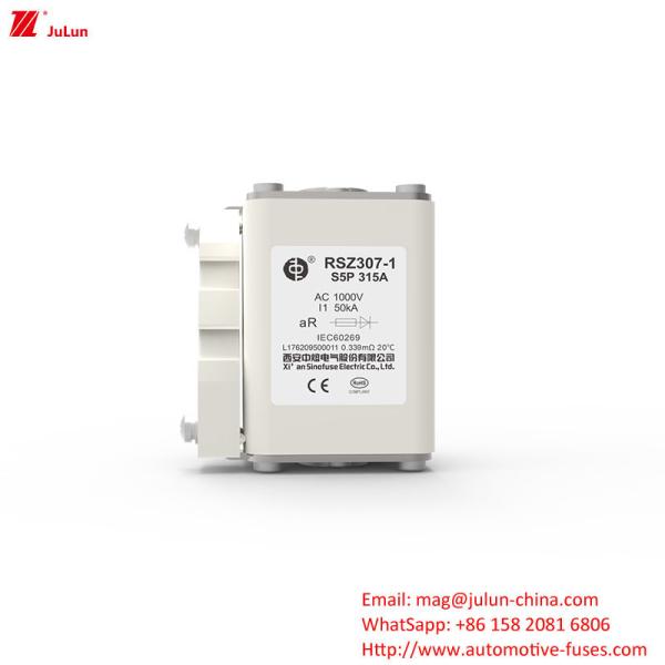 Automotive Battery Charger Electric Vehicle Fuse 1000V AC With Bolt On Terminals