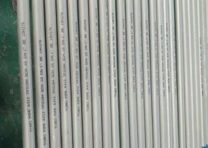 Austenitic Stainless Steel Welded Pipe A312 TP 310H BE SCH 10 DN 1.1/2" Thin