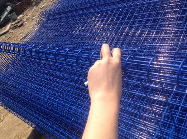 galvanized ornamental double loop wire fence powder coated Blue To Russia