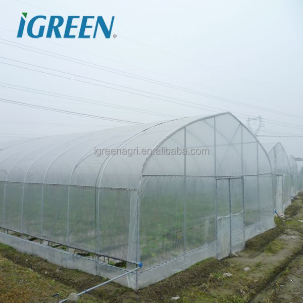Low Cost China Wholesale Tunnel Greenhouse For Year Round Crop Growth And Resource Management