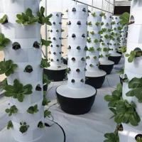 Sistema hidropônico agrícola sem solo industrial PVC Petal Grow Towers 9 camadas