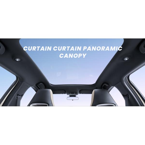 NEDC Haitun BYD Дельфины Белый Розовый Электрический Автомобиль Дальность 420 км