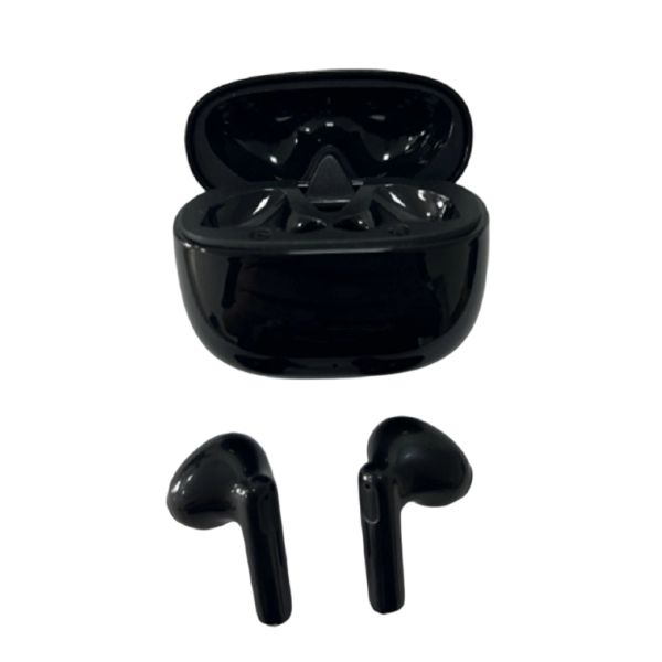 TWS Earbuds with 300mAh charging case,TWS Bluetooth 5.3 Earbuds,F10 Driver, 5H Playtime, Type-C Charging, 30+300mAh, Black
