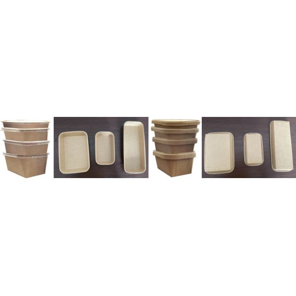 ZX-800 Full Servo Motor System PLC Controlled Bearing & Gearbox Automatic Square Paper Bowl Forming Machine with Pump & Engine