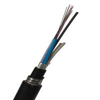 Câble optique extérieur directement enterré blindé de fibre du double GYTA53