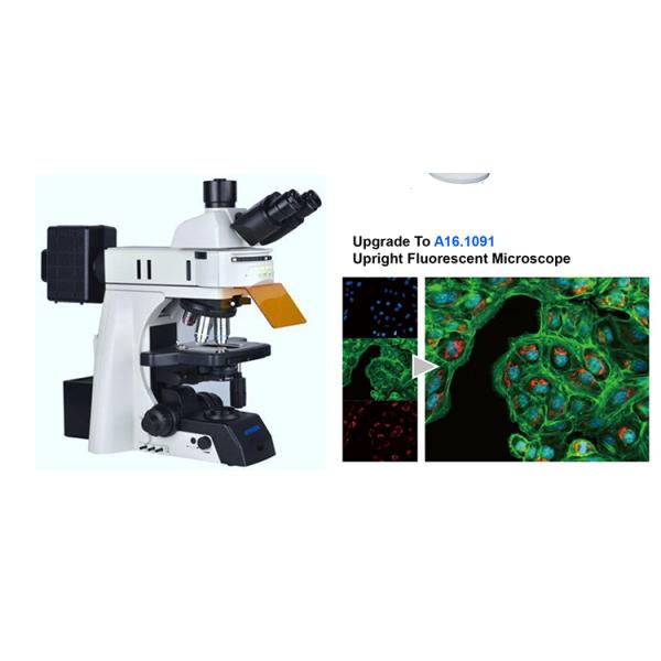 Микроскоп научной лаборатории исследования 25mm OPTO-EDU A12.1091-H ручной