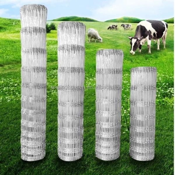 Iron Metal Type Trellis Gates for Heavy Galvanized Fixed Knot Cattle Fence 200m per Roll