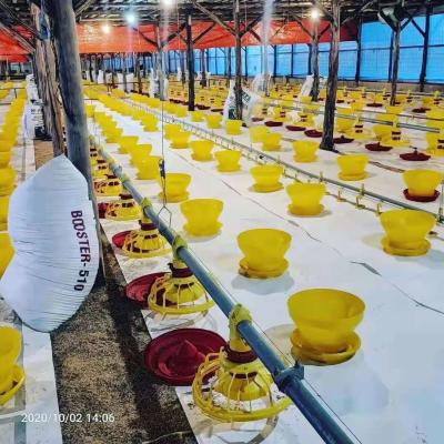 Bebedores e alimentadores automáticos da galinha da exploração avícola