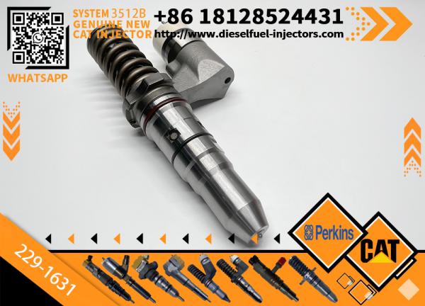 187-6549 229-5818 229-1631 166--0151 166--0153 Diesel Engine Fuel Injector for Cat C12 Diesel Engine