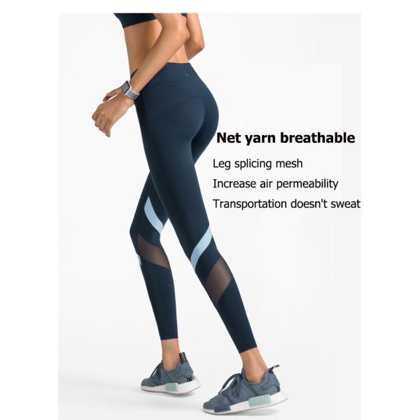 Гетры цвета столкновения сетки моды соединяя плотные подходящие