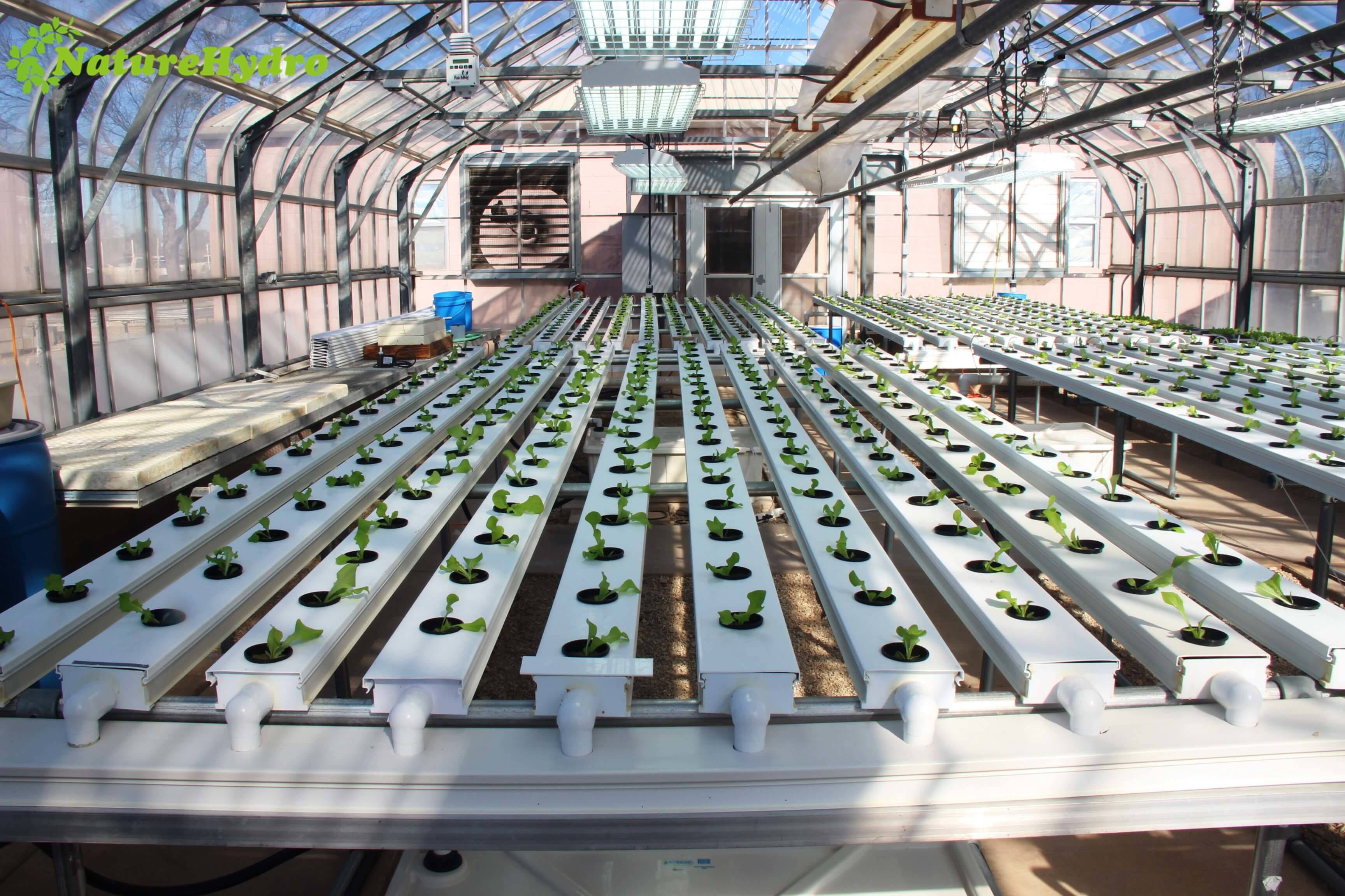 Hydroponic Nft Grow System