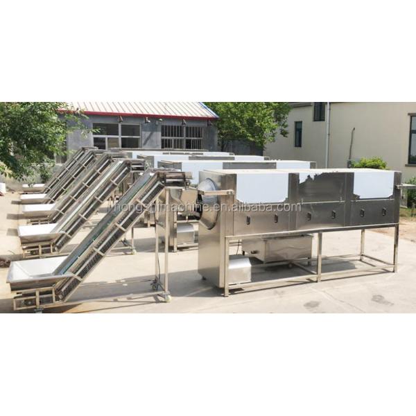 Walnut Kernel Seed Coat Removing Machine , Stable Nut Kernel Peeling Equipment