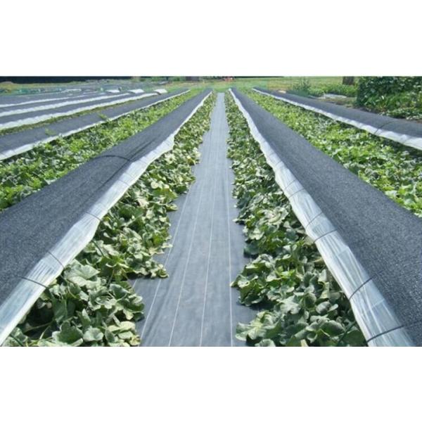 Сплетенная PP засорителя HDPE ткани ландшафта 4mm циновка пластикового анти- садовничая