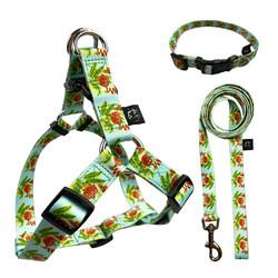 Flower Pattern Dog Harness Set Puppy Cat Sublimation Dog Lead Set