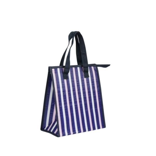 Refroidisseur isolé de haute qualité de nourriture de sac de déjeuner de pique