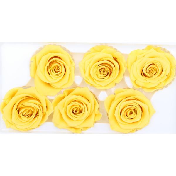 Diâmetro imortal Rose Flower For Mothers Day preservada 5-6cm