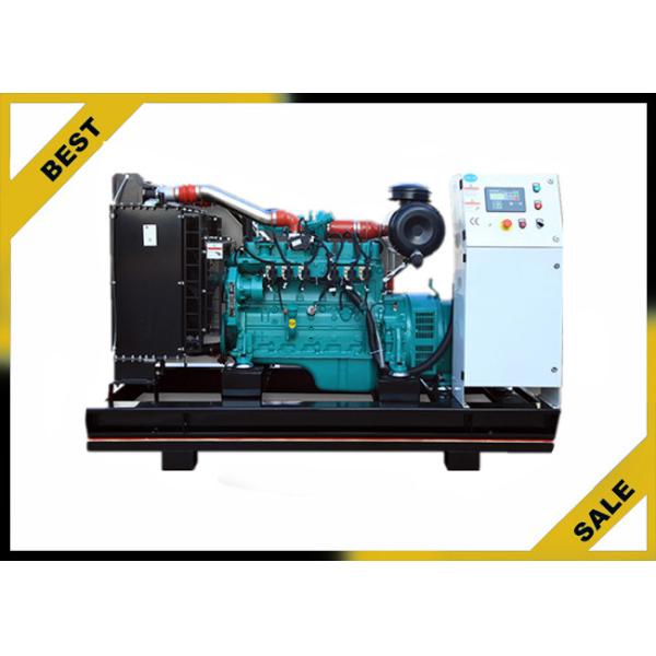 50 Hz Natural Gas Powered Generator , 200 Kw Gas Electric Generator Ac Three Phase