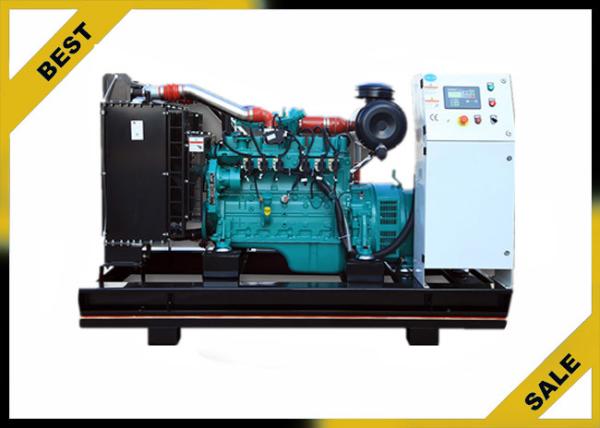 50 Hz Natural Gas Powered Generator , 200 Kw Gas Electric Generator Ac Three Phase