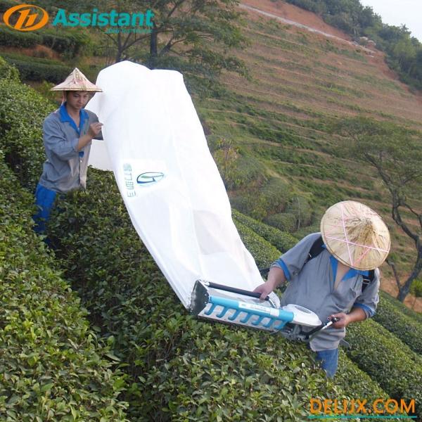 DL-4C-A Mini Semi-automatic Backpack Tea Plucking Machine for Tractor Power HP 0.7 0.8 HP