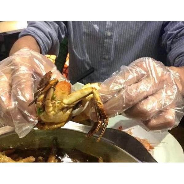 Multi Function Disposable PE Plastic Gloves Household Cleaning Eating Food Grade Oil Proof Waterproof