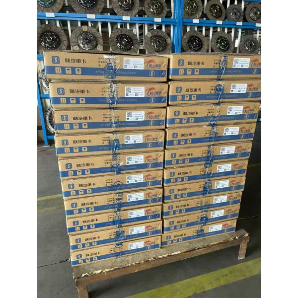 ISDE Torsional Vibration Damper /5256139