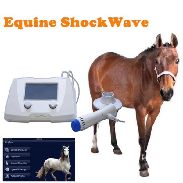 ESWT shockwave vet treatment veterinary extracorporeal shock wave therapy machine horse racing for animal