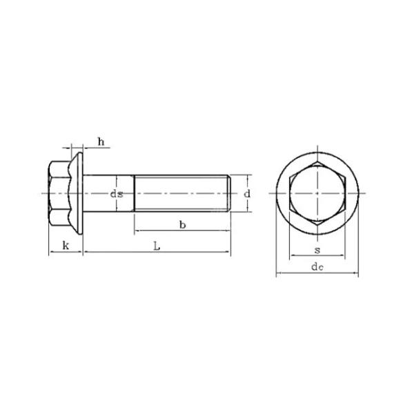 Stainless Steel SS304 SS316 High Strength Bolt M2 - M12.9