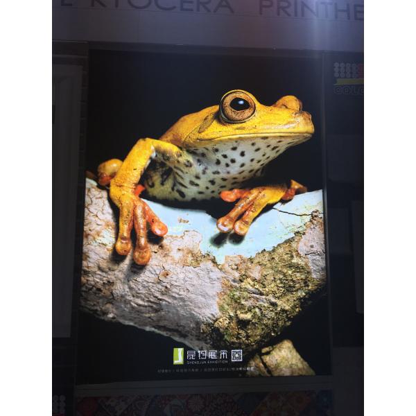 Машина хлопка/белья/принтера ткани Польетер с непрерывной поставкой чернил