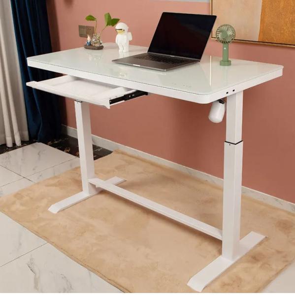 2023 Design Office Furniture Electric Adjustable Desk for Study DC Motor Dual Motor