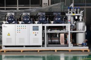 Multi-compressor condensing unit with screw compressors