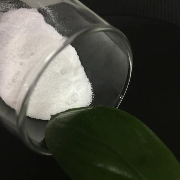 Light/Dense Soda Ash Sodium Carbonate Anhydrous 99.2% Min for Chemical Synthesis