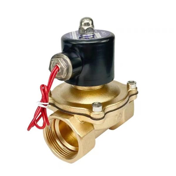2W Model NO. Customized Support Brass 24V 220V Volt 12V Normal Closed Solenoid Valve