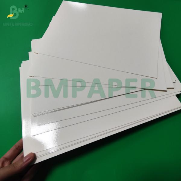 300 g de plateau de papier laminé en PET de qualité alimentaire en rouleaux de papier 635 mm à haute température