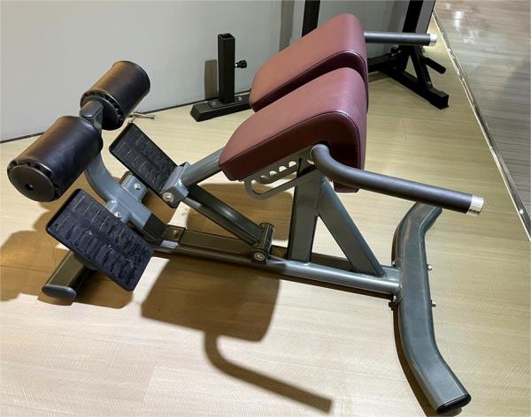 Freeman Commercial Gym Fitness Equipment Back Extension(hyper Extension Bench)/roman Chair
