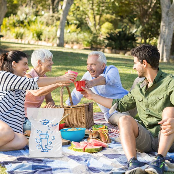 Ldpe Plastic Ice Bags With Drawstring , Ice Cube Bags 1 KG Weight Capacity