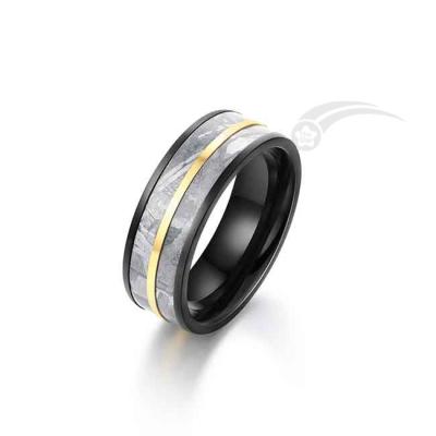 WEDDING BAND METEORITE RING 8MM TWO ROWS IN 2 TONE MUONIONALUSTA