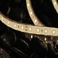 2835 lumière de bande de 24V IP68 LED RA90 pour pour des applications sous-marines extérieures
