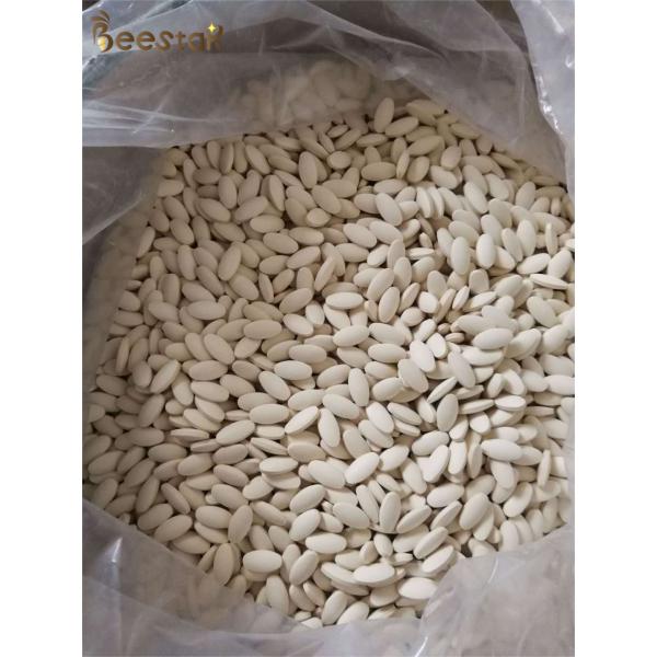 10-HDA 4.0% Pure Fresh Royal Jelly Lyophilized Tablet 100g
