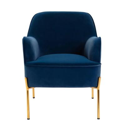 Luxury Anti Fading Modern Velvet Dining Chairs Multiscene Durable