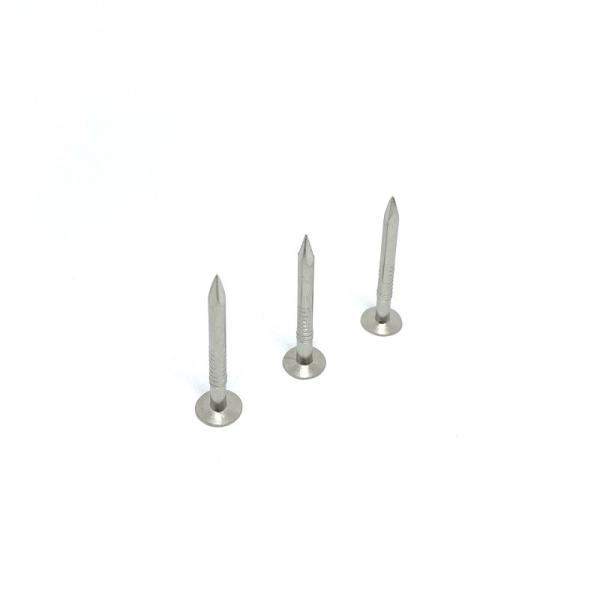 Pregos A2 de aço inoxidável principais lisos de 2.8X30MM com pata lisa