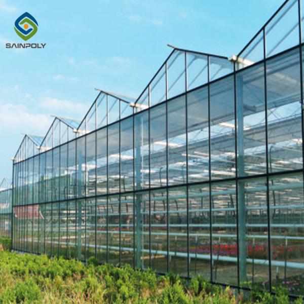 Wind Galvanized Steel 12m Multi Span Glass Greenhouse