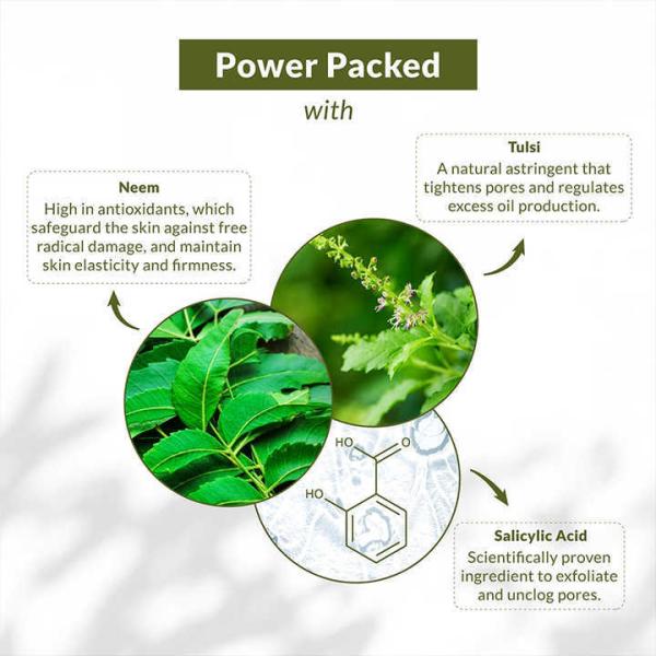 Customized Vegan Neem Tulsi Face Wash PH Balance Facial Cleansing Foam