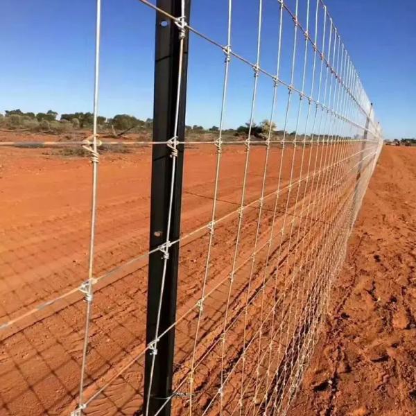 Length 1m-12m Star Picket Fence Post Purposes For Fence Installation Y Fence Post
