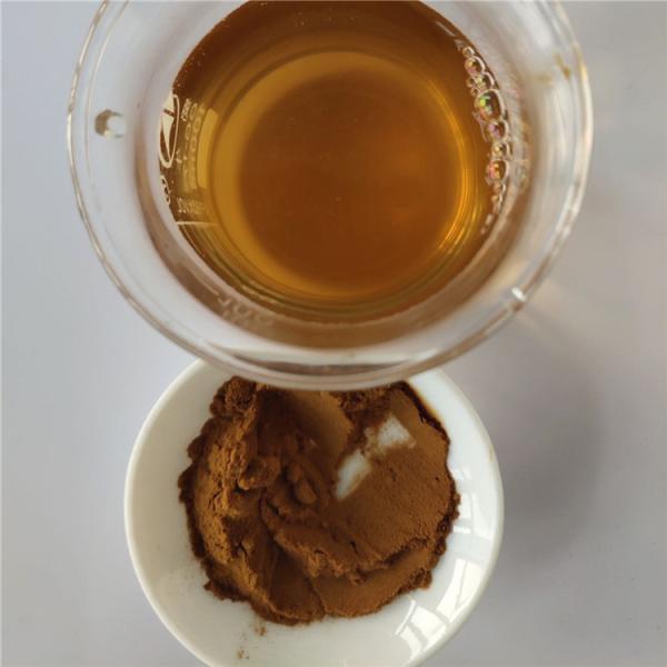 wholesale nutrition supplement zingiber officinale extract