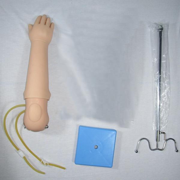 Human Life Size Manikin Portable Infant Venipuncture Training Arm Model IV Arm Injection Teaching Hand Phantom
