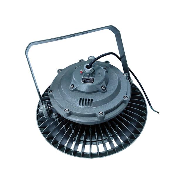 DL235 100-280W Круглый светодиодный взрывозащитный свет