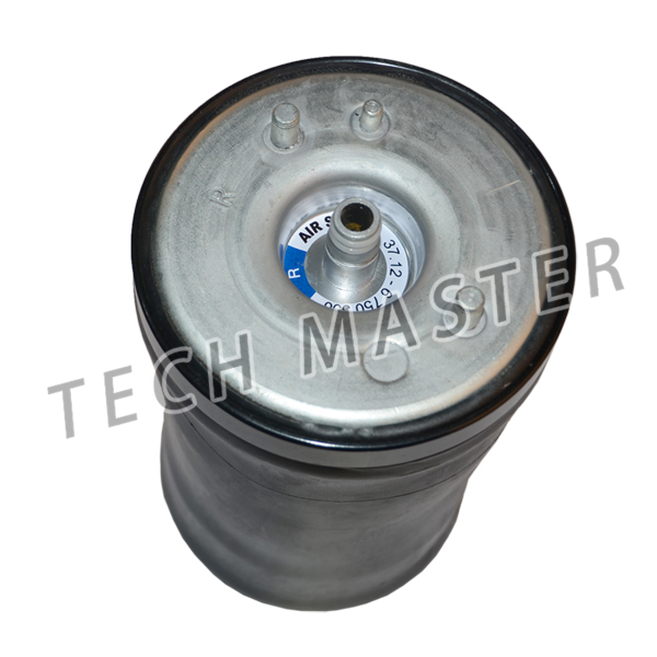E53 X5 37126750356 BMW Air Suspension Parts Air Bag Rear Right Air Spring
