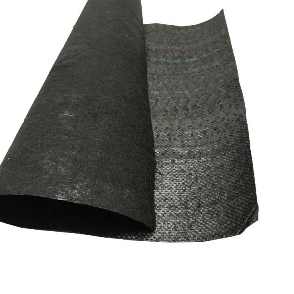 PP High Tensile Strength 70GSM-400GSM Woven Geotextile for Blueberry Garden Weed Control