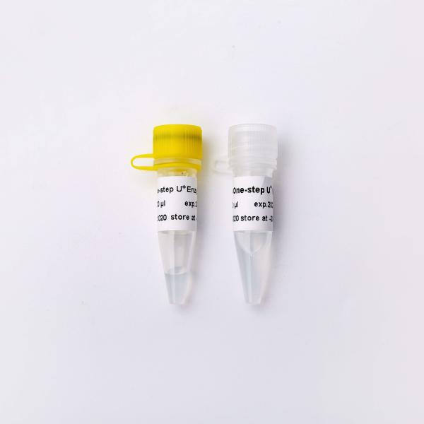 V3 V5011 200 Rxn 20uL/Rxn One Step RT QPCR Master Mix